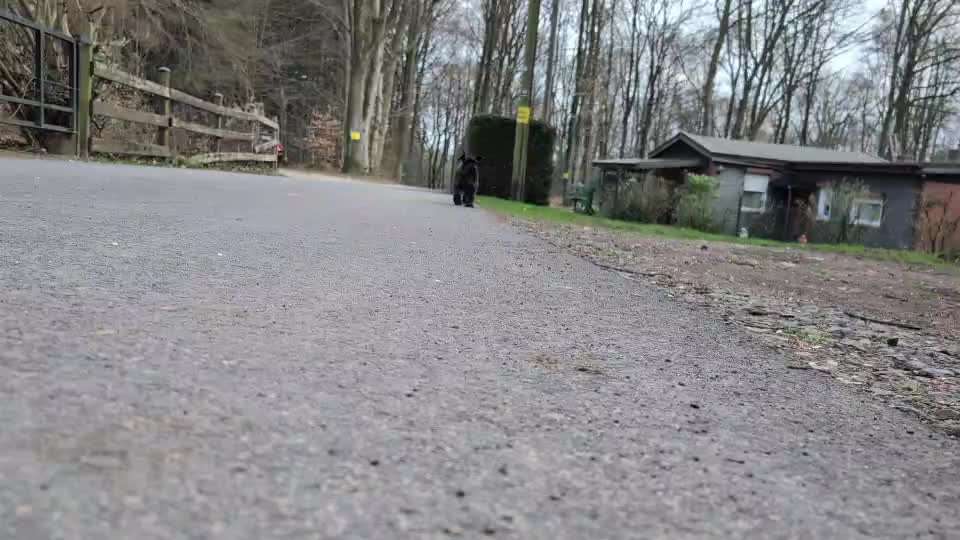 Was hat euch heute gefreut?-Beitrag-Bild