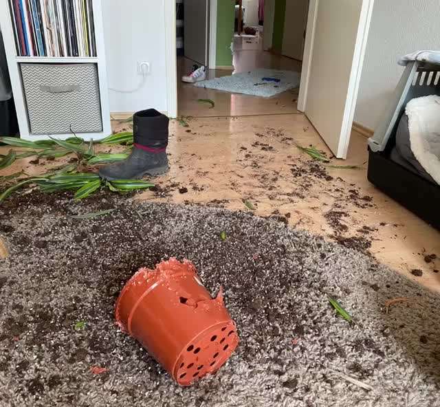 Geschreddert!-Beitrag-Bild