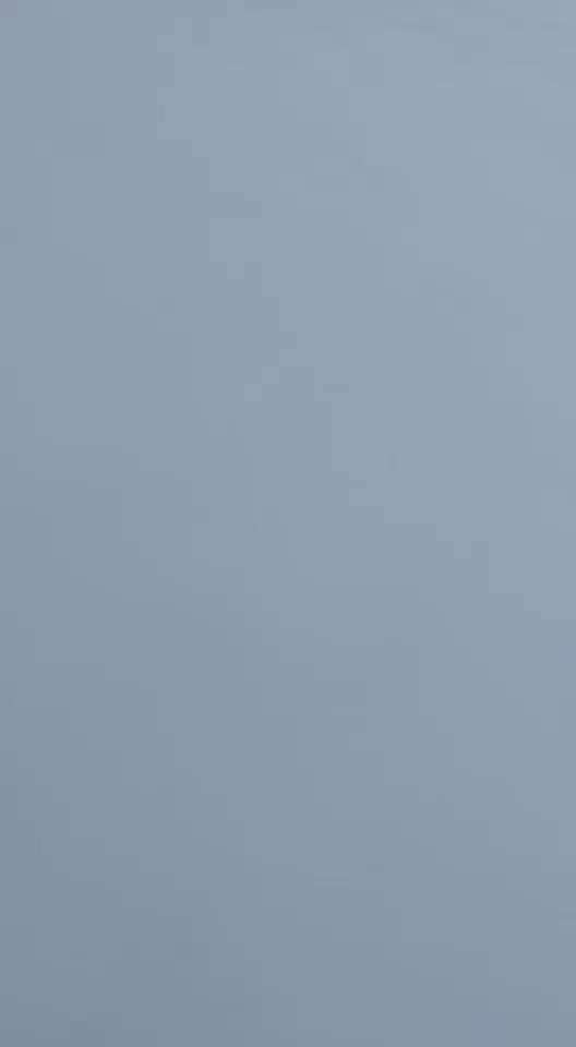 Französische Bulldoggen-Beitrag-Bild