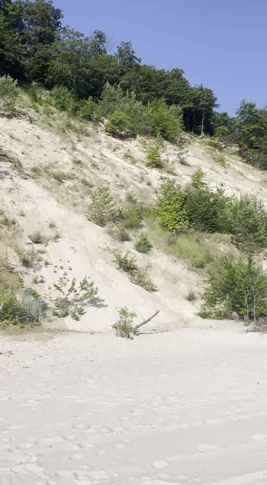 Video Challenge Nr.6
Auf den Spuren der Freiheit🐾🐾-Beitrag-Bild