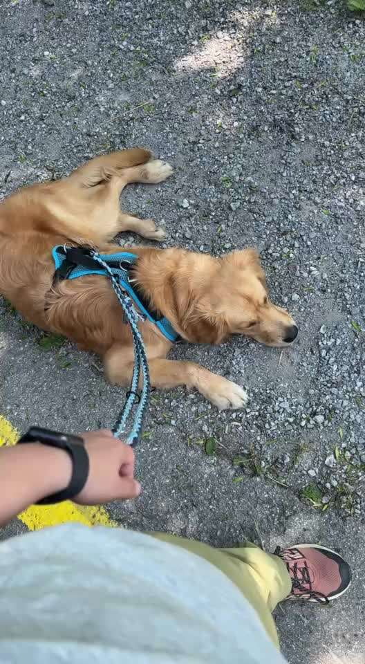 54. Impulskontrollchallenge  PAUSE MACHEN !-Beitrag-Bild