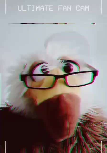 Hunde Memes-Beitrag-Bild