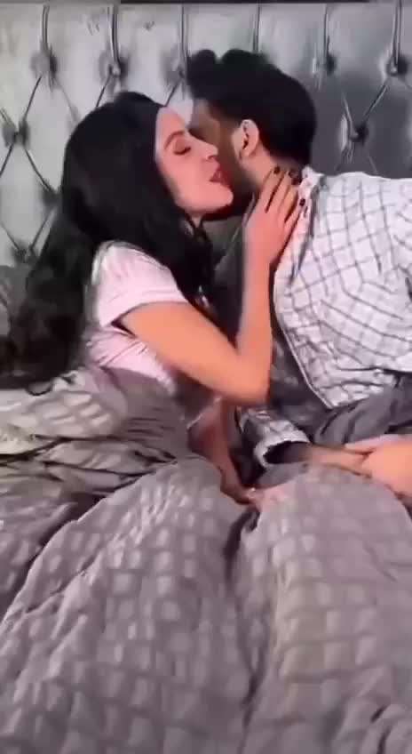 Hunde Memes-Beitrag-Bild