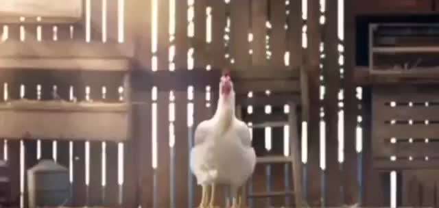 Freundschaftsanfragen-Beitrag-Bild