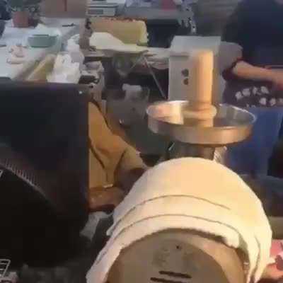 Hunde Memes-Beitrag-Bild