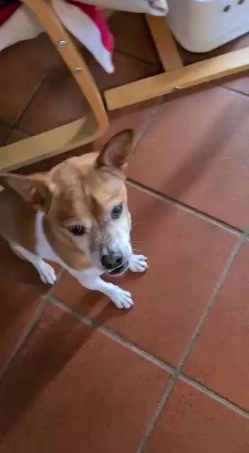 Trick Challenge NR 22 "Ziehen"-Beitrag-Bild