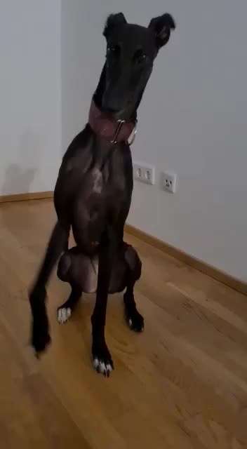 Trick Challenge Nr. 16-Beitrag-Bild