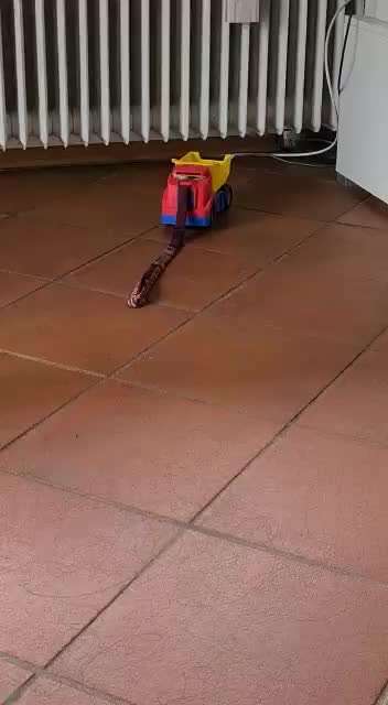 Trick Challenge NR 22 "Ziehen"-Beitrag-Bild