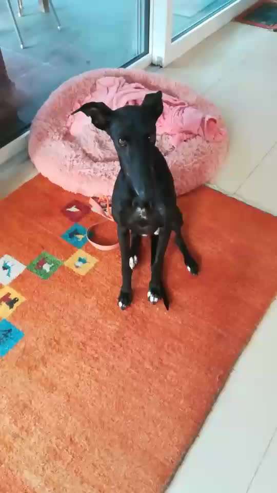 Trick Challenge ABC-Beitrag-Bild