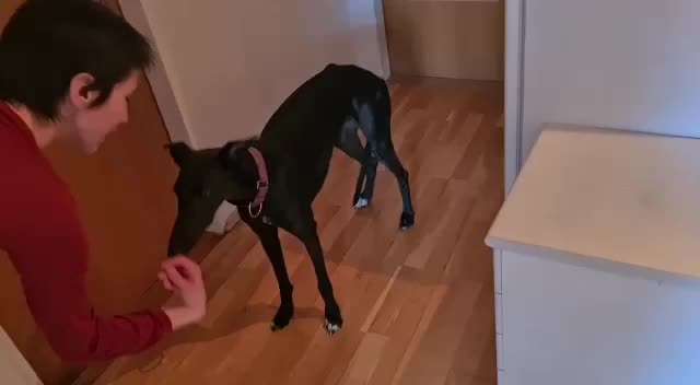 Trick Challenge Nr. 8-Beitrag-Bild