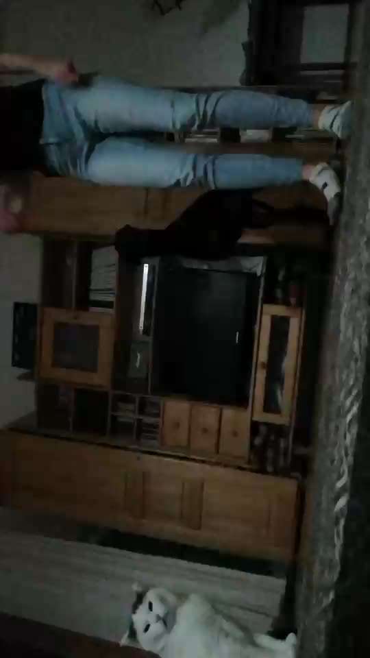 Trick Challenge Nr. 28: Slalom rückwärts-Beitrag-Bild