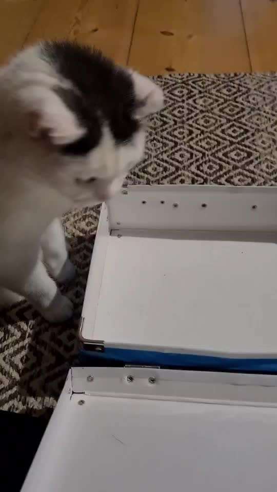 Trick-Challenge Nr.26 Quetschen-Beitrag-Bild