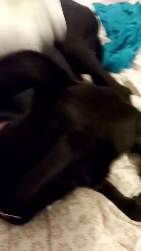 Trick Challenge 13 - Etwas Halten-Beitrag-Bild