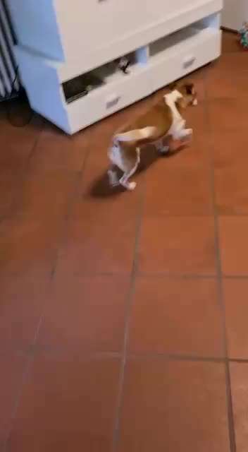 Trick Challenge NR 22 "Ziehen"-Beitrag-Bild