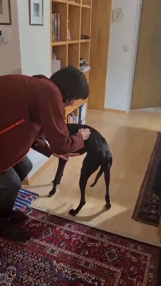 Trick Challenge Nr. 18-Beitrag-Bild