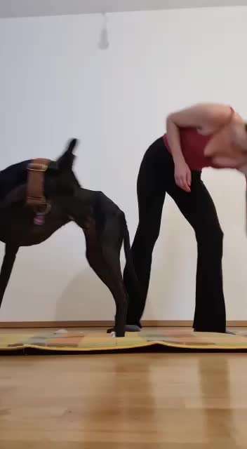 Trick Callenge Nr. 17-Beitrag-Bild