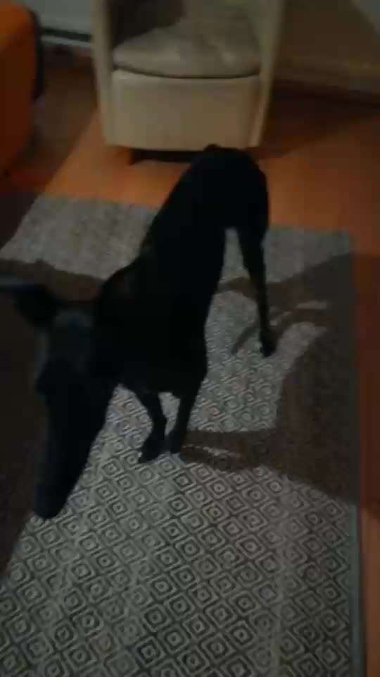 Trick Challenge ABC-Beitrag-Bild