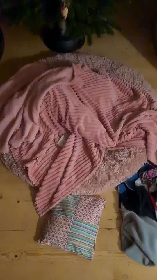 Windhunde - Treffen der besonderen Schönheiten
HERZLICH WILLKOMMEN-Beitrag-Bild