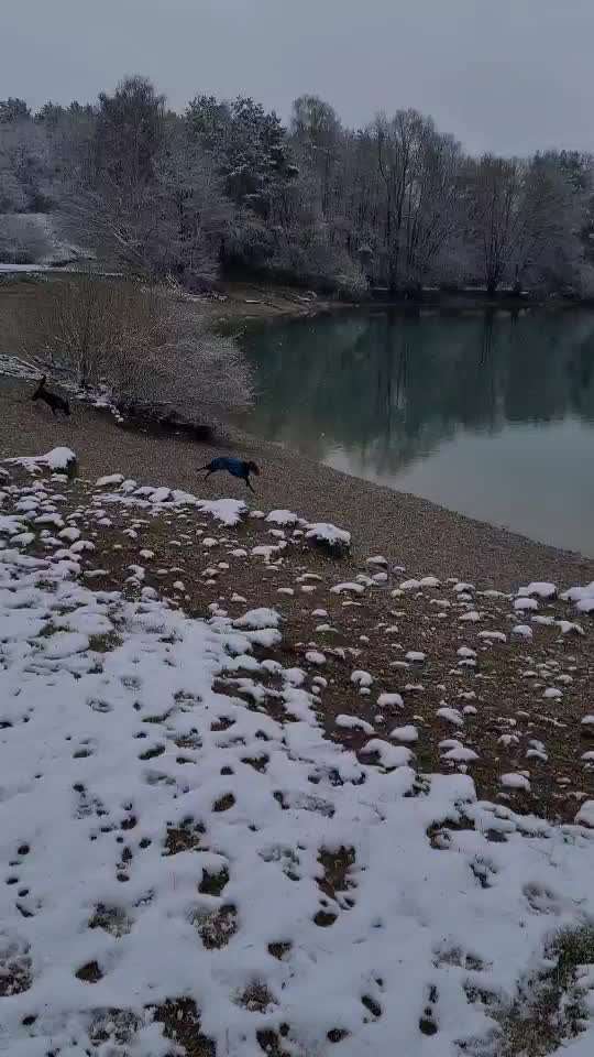 Distanz im Freilauf-Beitrag-Bild