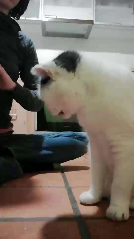 Trick Challenge ABC-Beitrag-Bild