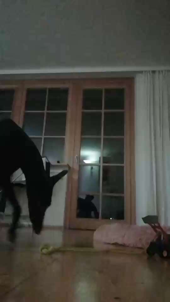 Trick Challenge NR 22 "Ziehen"-Beitrag-Bild