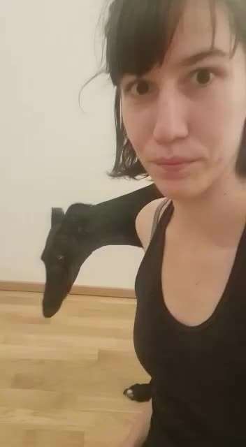 Trick Challenge Nr. 20   "Selfietrick"-Beitrag-Bild