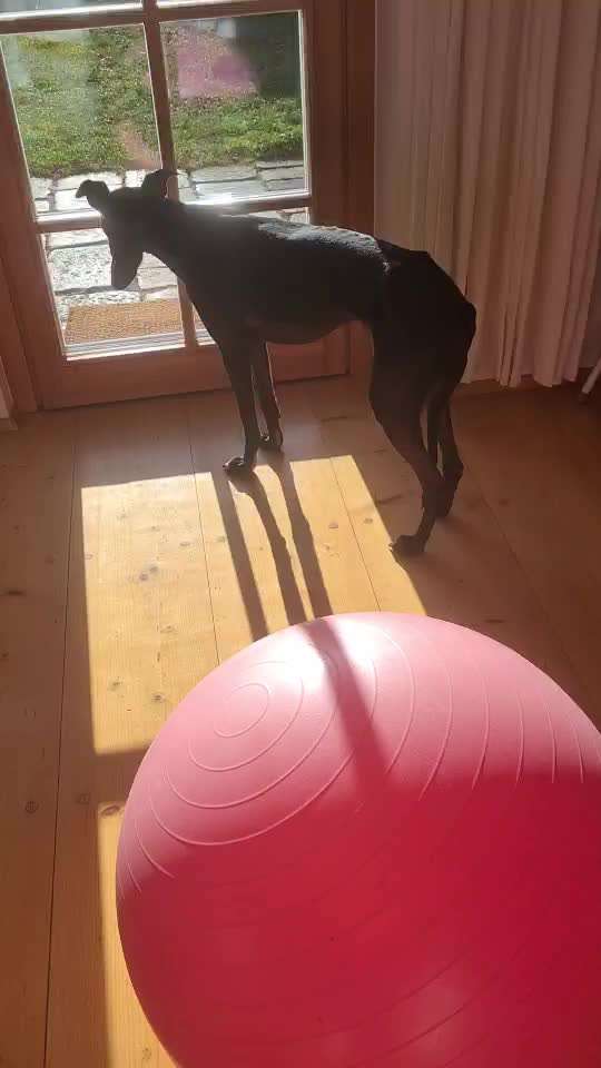 Trick Challenge ABC-Beitrag-Bild