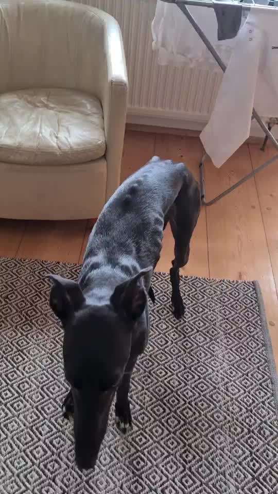 Trick Challenge ABC-Beitrag-Bild