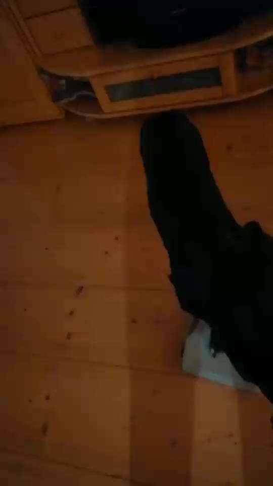 Trick Challenge 24 ,,Elefantentrick"-Beitrag-Bild