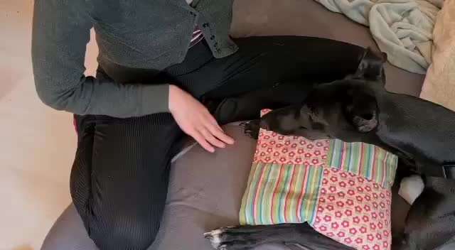 TRICK CHALLENGE NR. 10-Beitrag-Bild