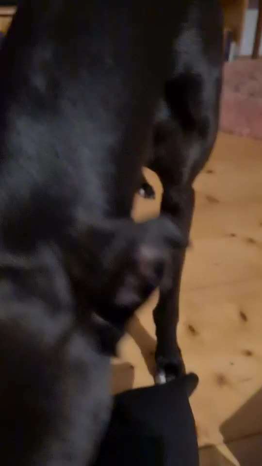 Trick-Challenge Nr.26 Quetschen-Beitrag-Bild