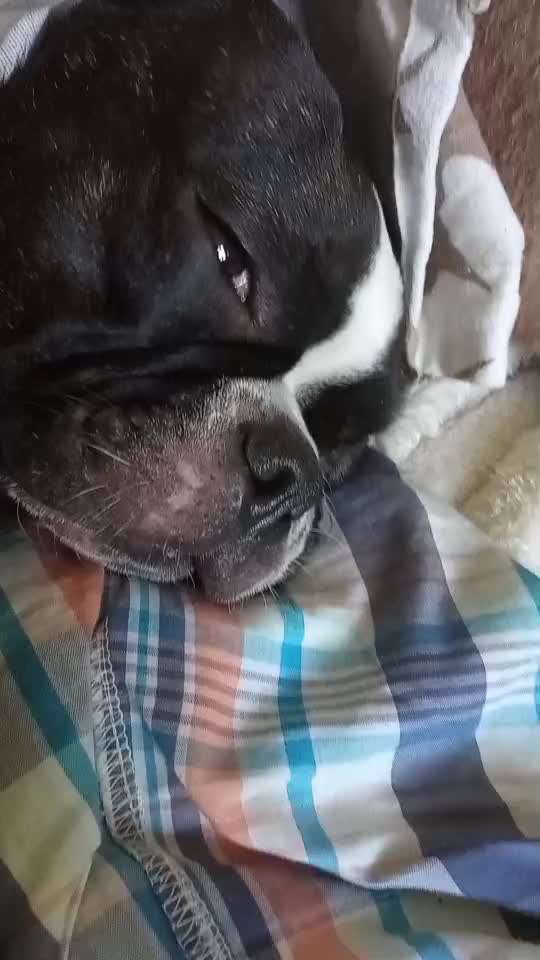 Hier ist der Spaßthread. Zum Schmunzeln und Kaputtlachen-Beitrag-Bild