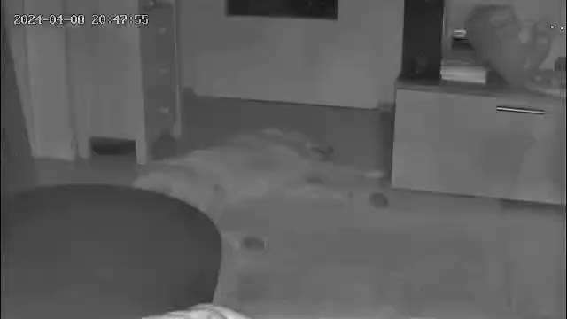 Was hat euch heute gefreut?-Beitrag-Bild