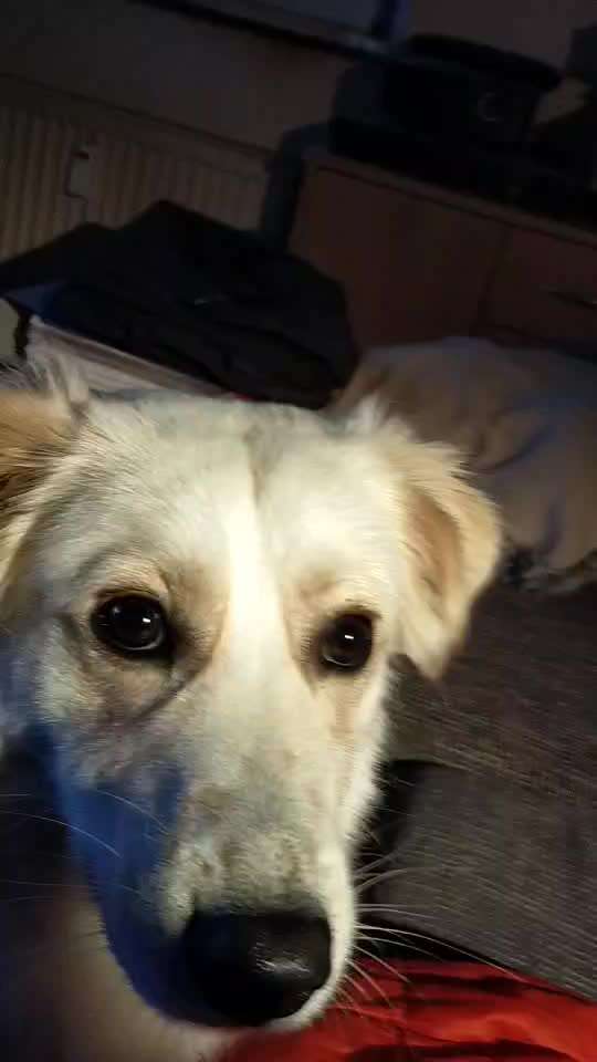 Was hat euch heute genervt?-Beitrag-Bild