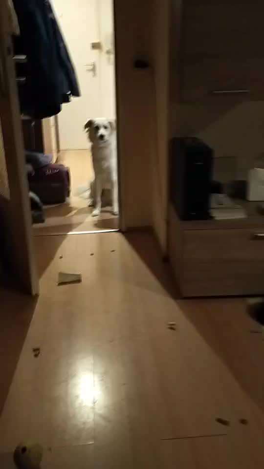 Impulskontrolle Challenge Nr. 21: Minenfeld-Beitrag-Bild