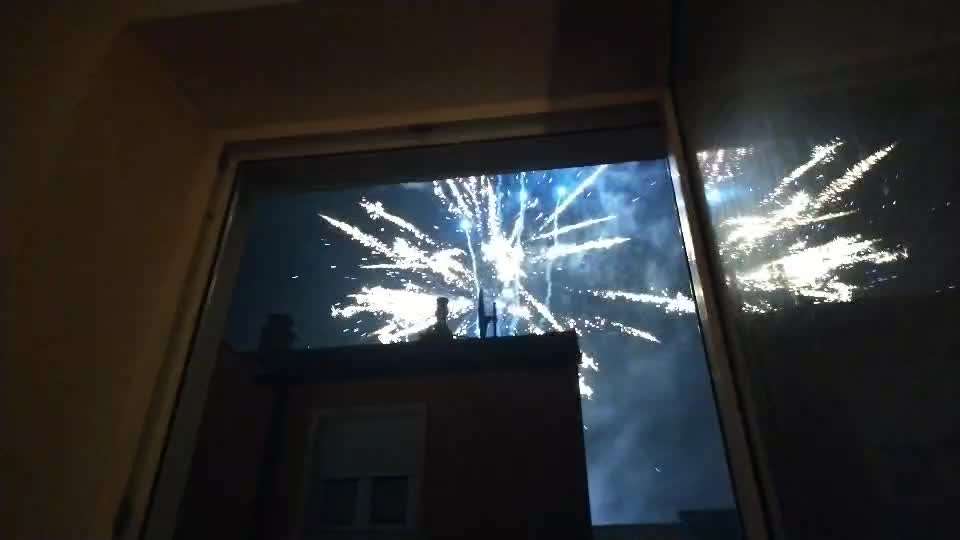 🎆🚫 Silvesterverbot in den Niederlanden! Was denkst du darüber?-Beitrag-Bild