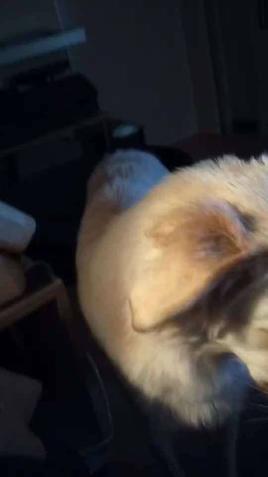 Was hat euch heute genervt?-Beitrag-Bild