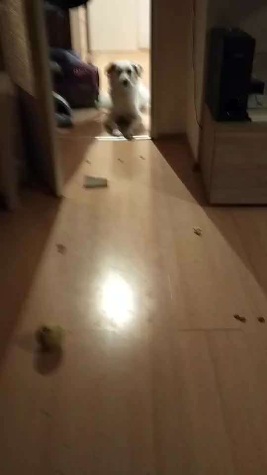 Impulskontrolle Challenge Nr. 21: Minenfeld-Beitrag-Bild