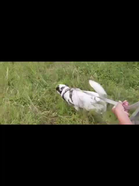 Freddys Kummerkasten-Beitrag-Bild