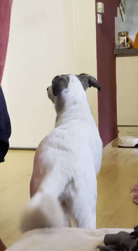 Im Maul des Anderen schlecken-Beitrag-Bild