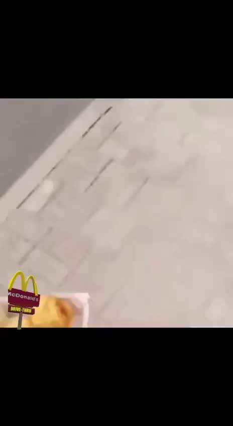 Hunde Memes-Beitrag-Bild