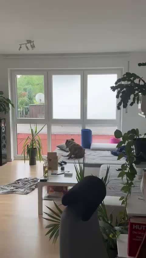 Verhaltensstörungen/Anfälle-Beitrag-Bild