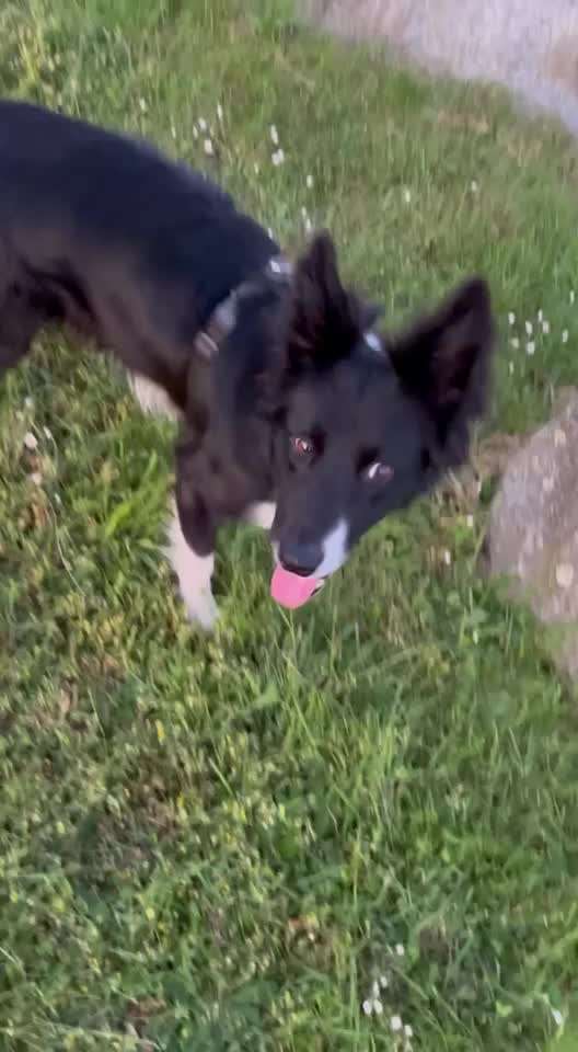 TRICK CHALLENGE NUMMER 30 " ZURÜCK "-Beitrag-Bild