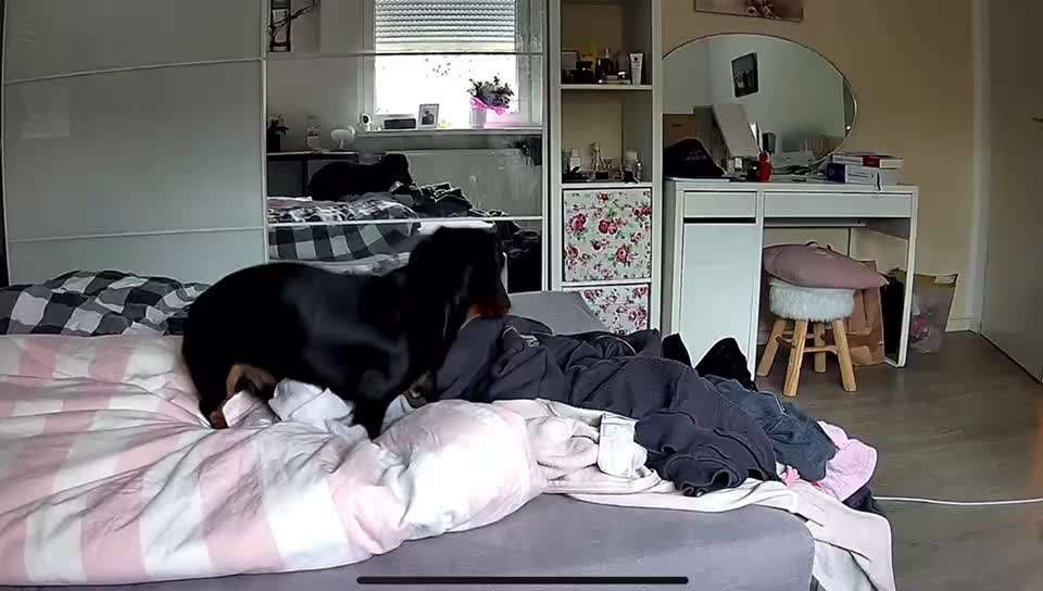 57. impulskontroll Challenge / alleine bleiben-Beitrag-Bild