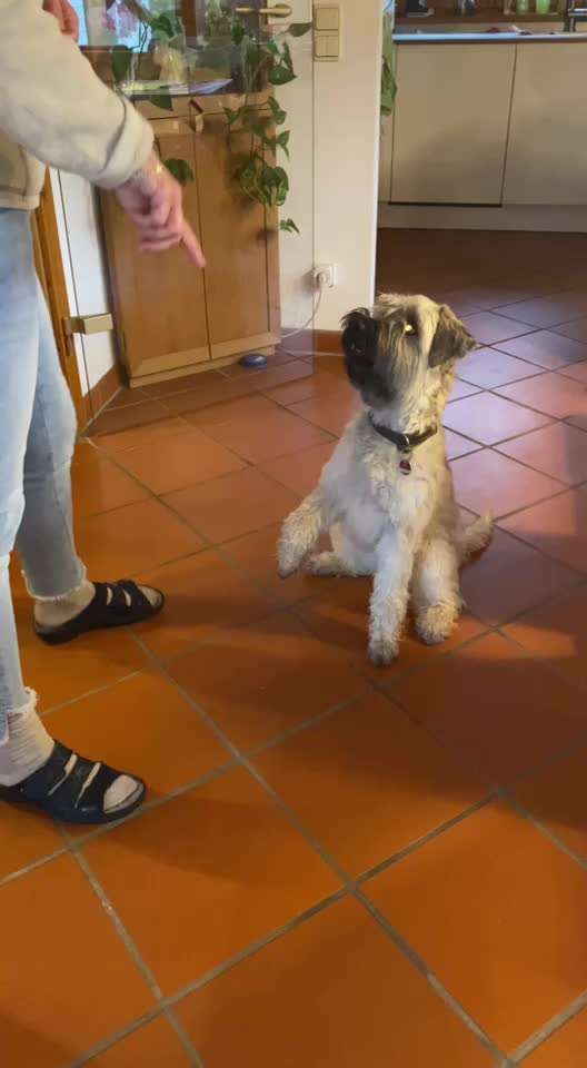 𝕋ℝ𝕀ℂ𝕂 ℂℍ𝔸𝕃𝕃𝔼ℕ𝔾𝔼 ℕℝ. 𝟙-Beitrag-Bild