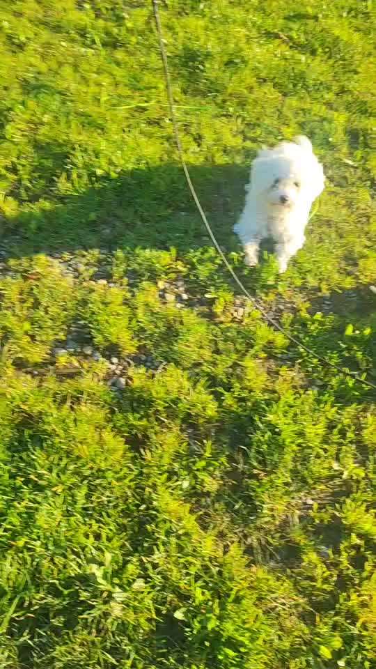 60. Impulskontrolle-Übung/Challenge:
(Spiel-) Pause-Beitrag-Bild