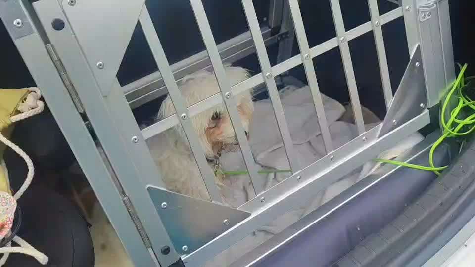 57. impulskontroll Challenge / alleine bleiben-Beitrag-Bild