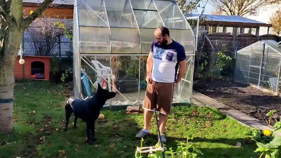 Früh übt sich-Beitrag-Bild