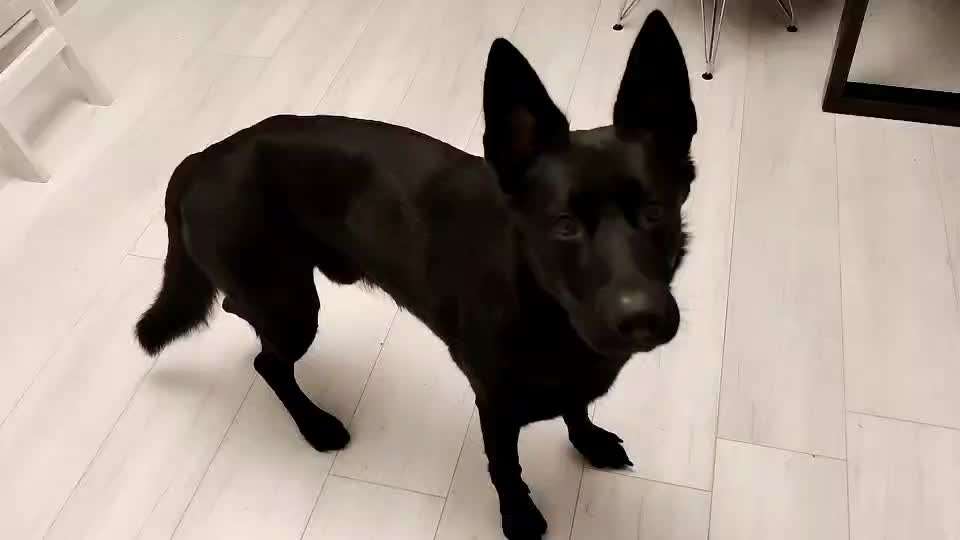 𝕋ℝ𝕀ℂ𝕂 ℂℍ𝔸𝕃𝕃𝔼ℕ𝔾𝔼 ℕℝ. 𝟚-Beitrag-Bild