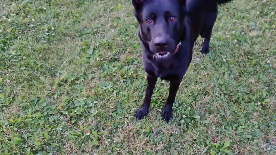 Ein Finger challenge-Beitrag-Bild